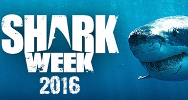 636018624626245357-2035966635_shark week