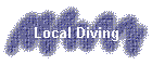 Local Diving